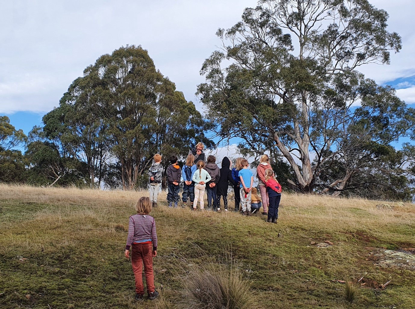 Tamar Valley Steiner Bush School
